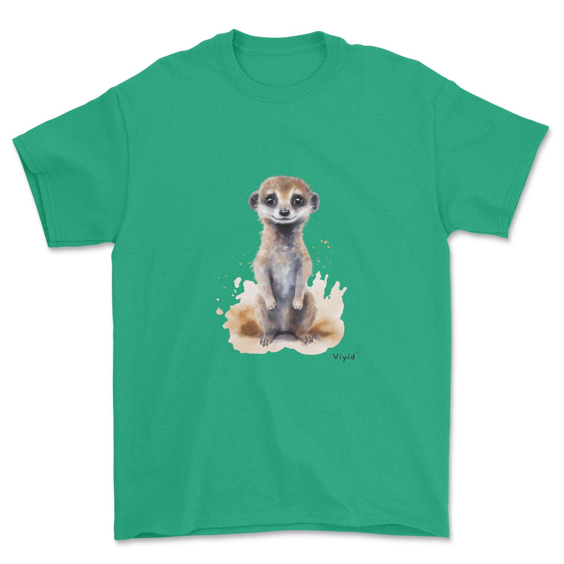 standing meerkat youth t-shirt irish green