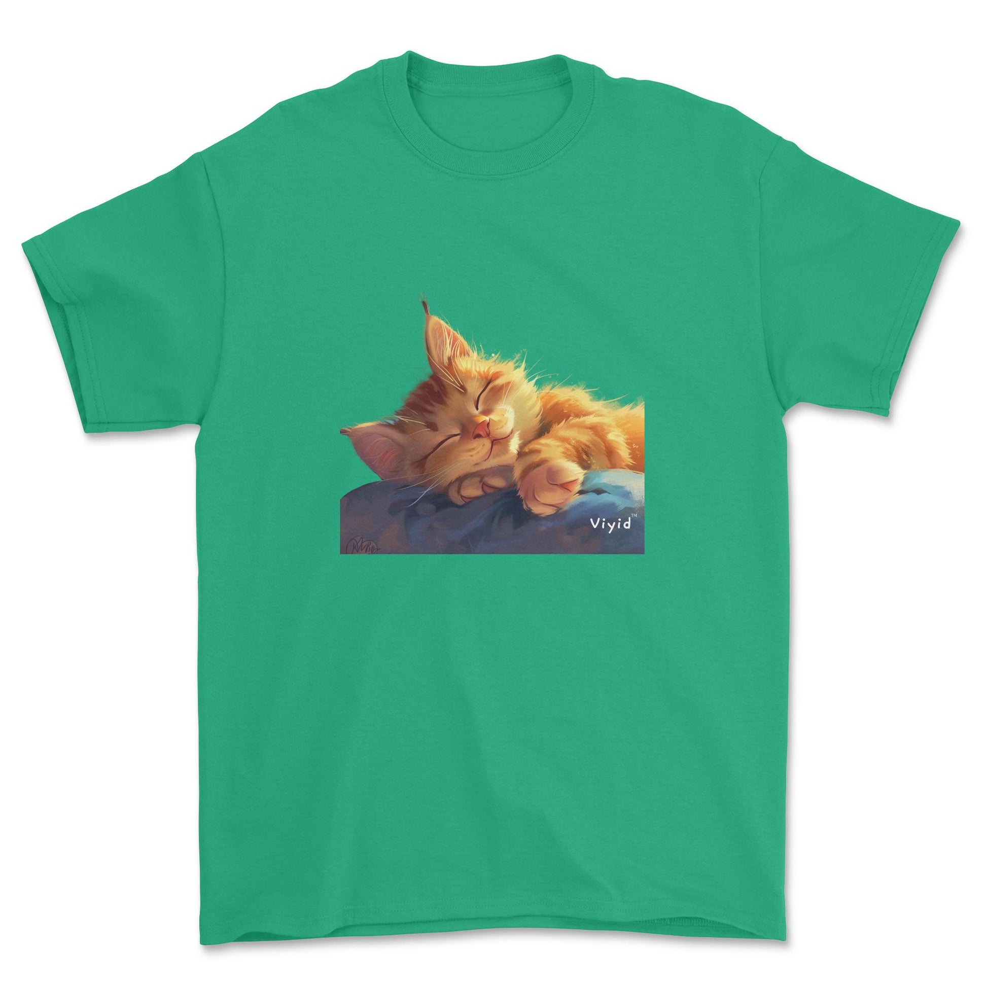 sleeping ginger cat youth t-shirt irish green