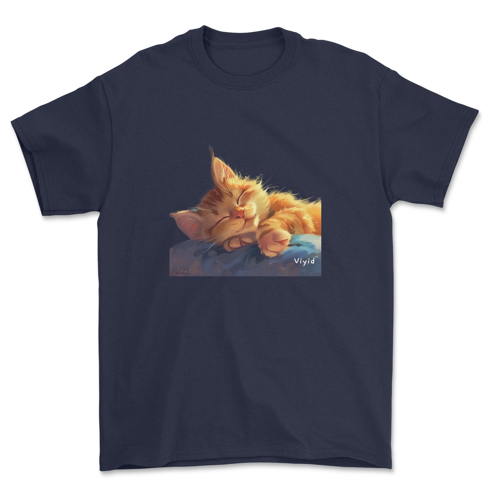 sleeping ginger cat youth t-shirt navy