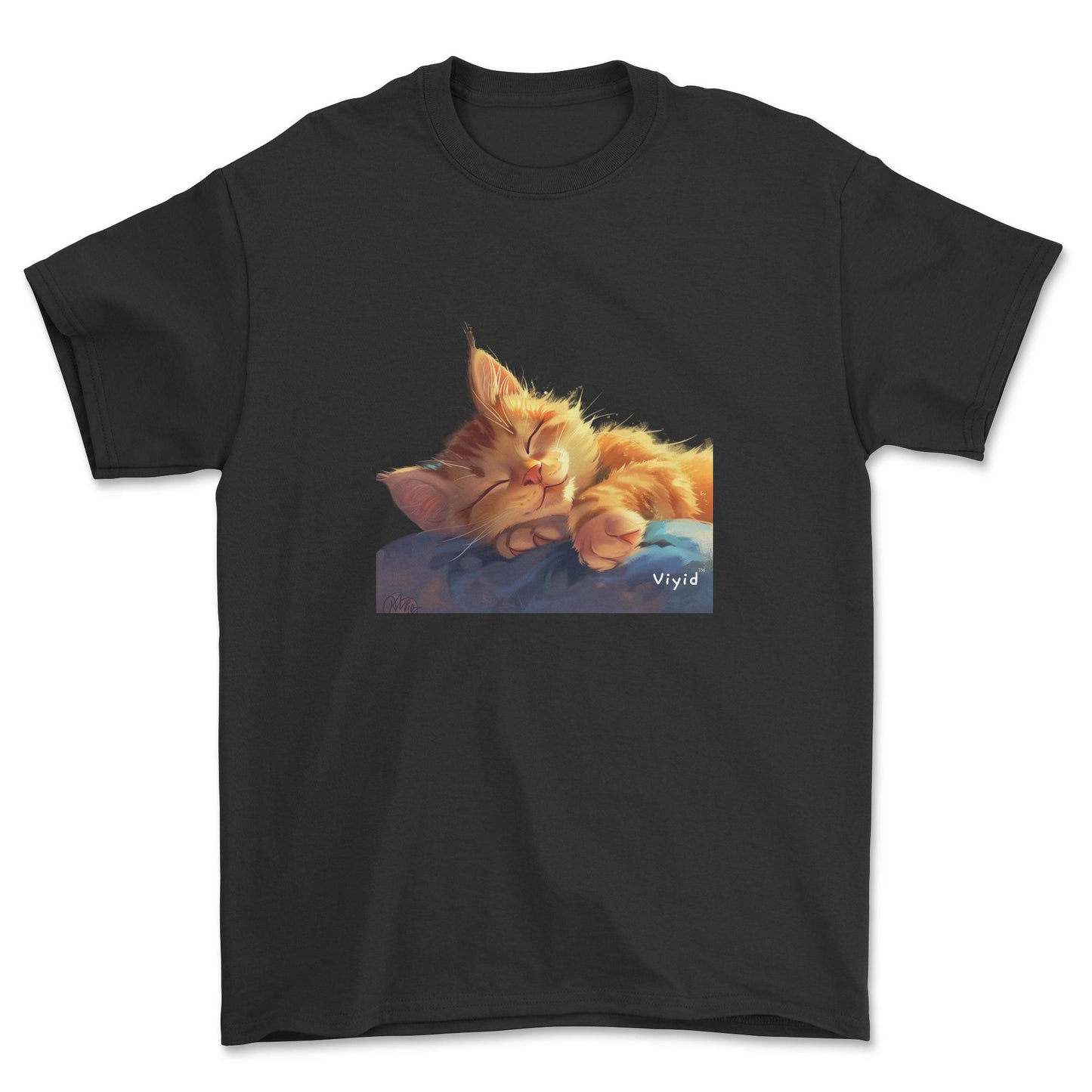 sleeping ginger cat adult t-shirt black