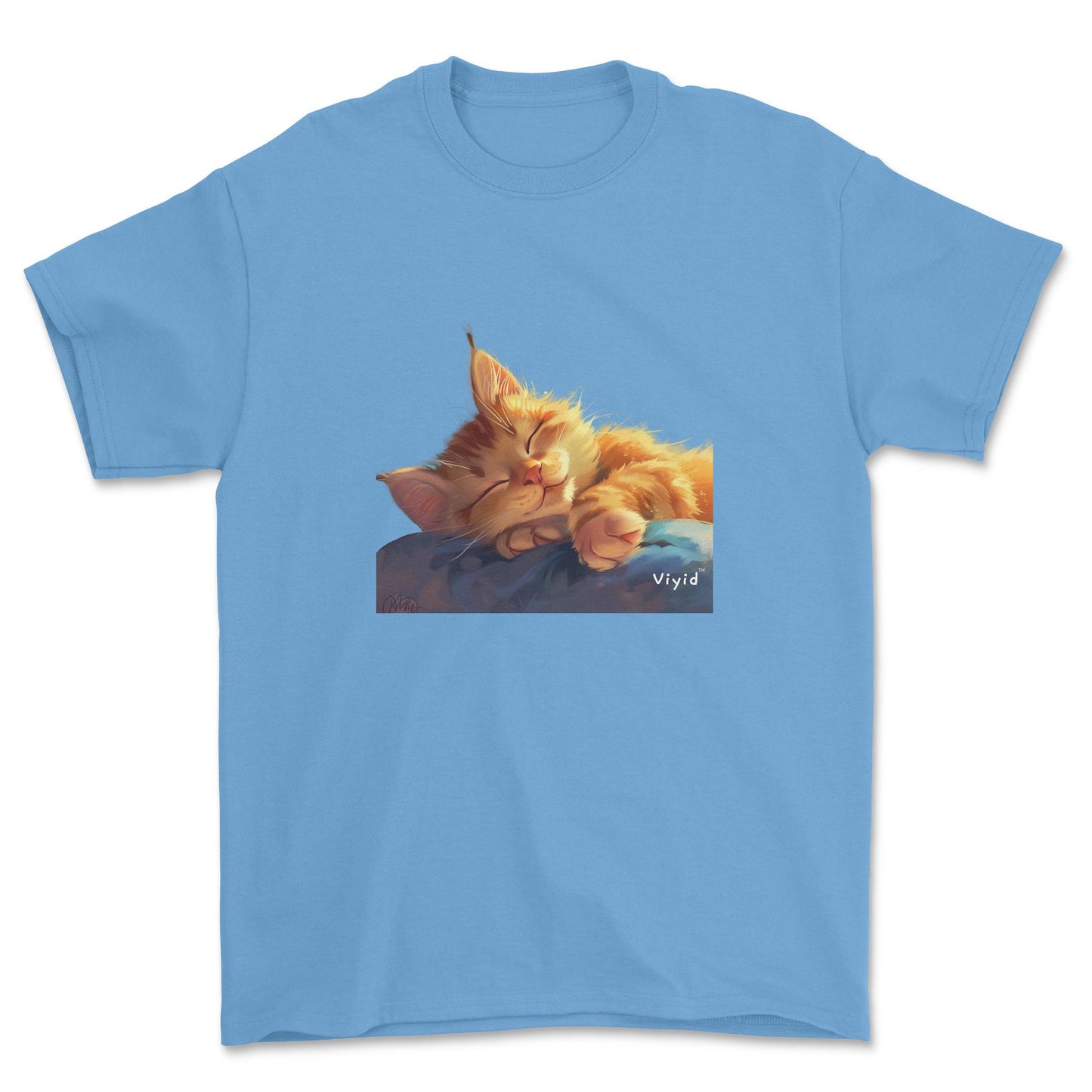 sleeping ginger cat youth t-shirt carolina blue