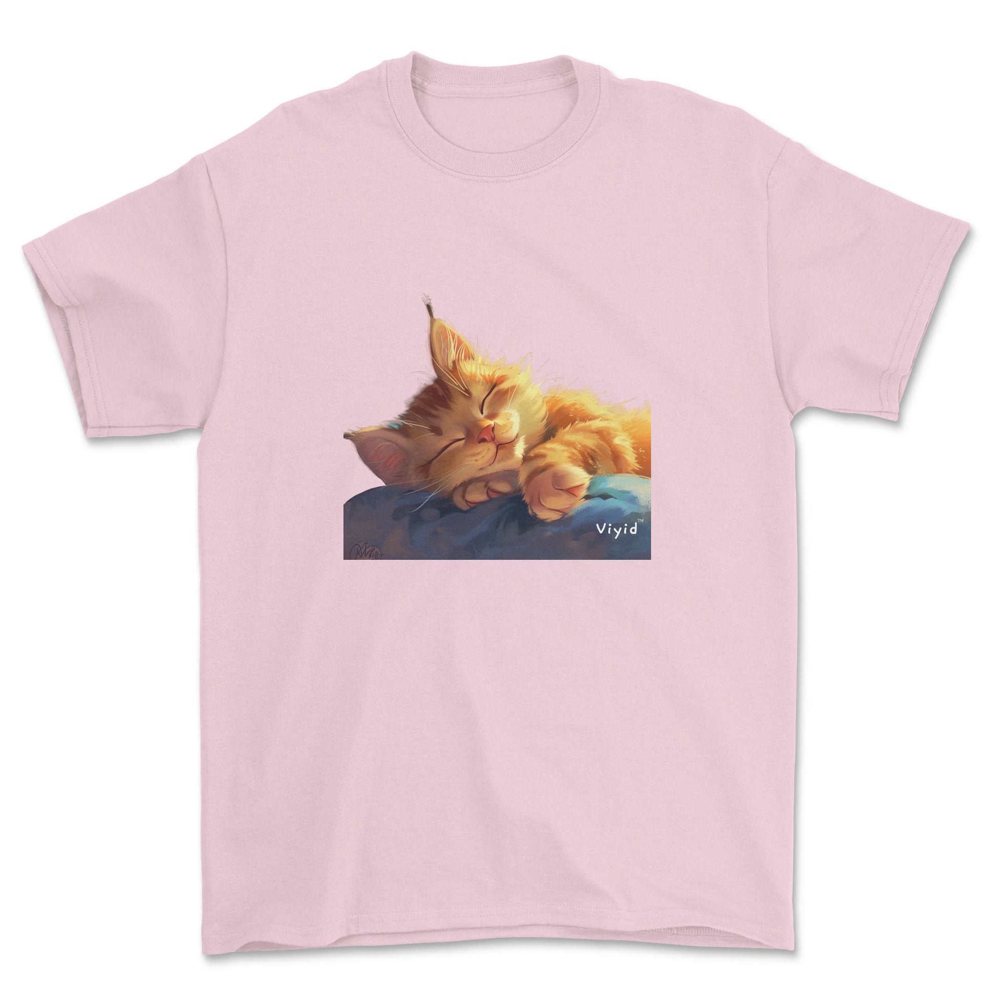 sleeping ginger cat youth t-shirt light pink