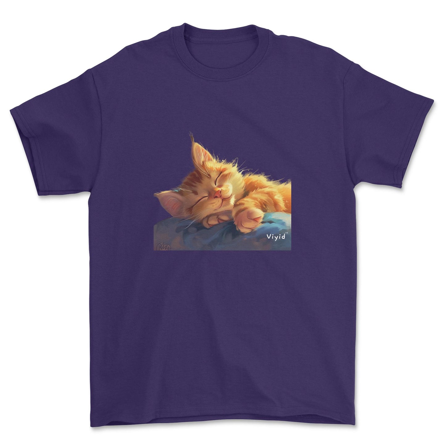 sleeping ginger cat youth t-shirt purple